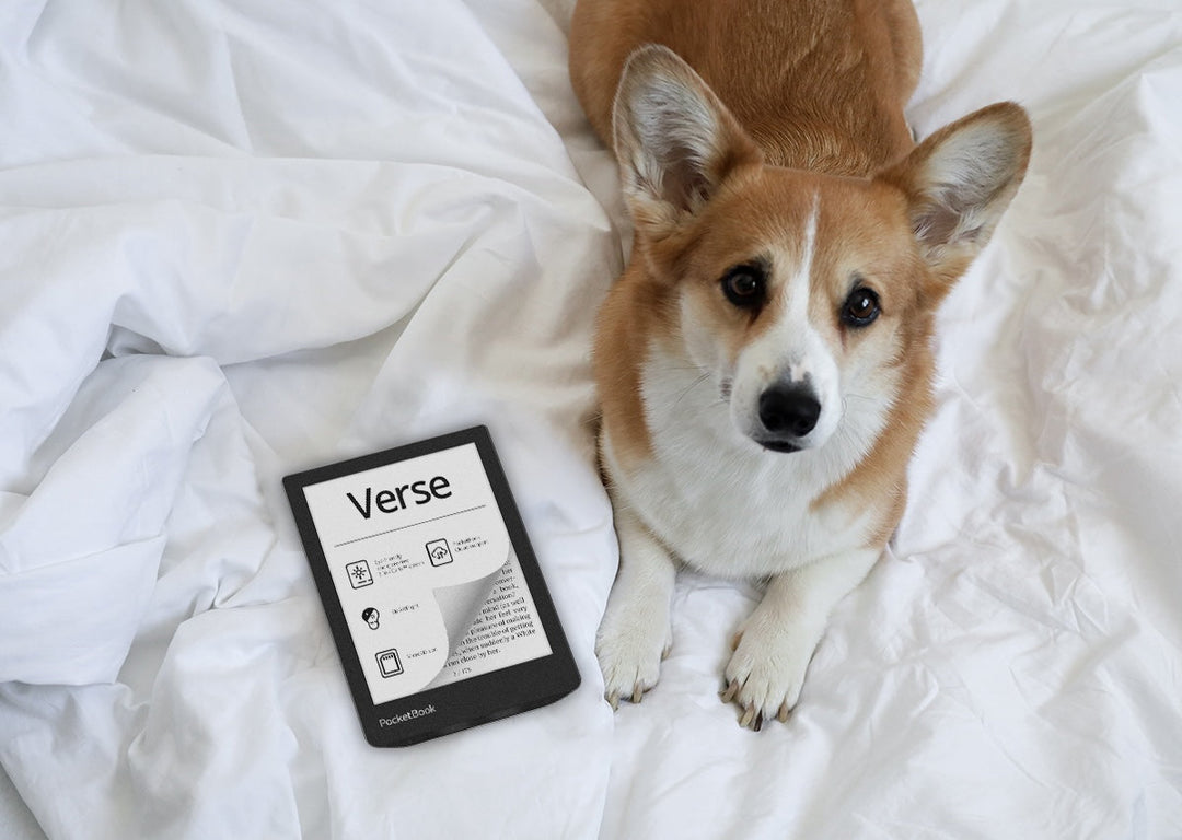 Alles wat je moet weten over de Pocketbook Verse