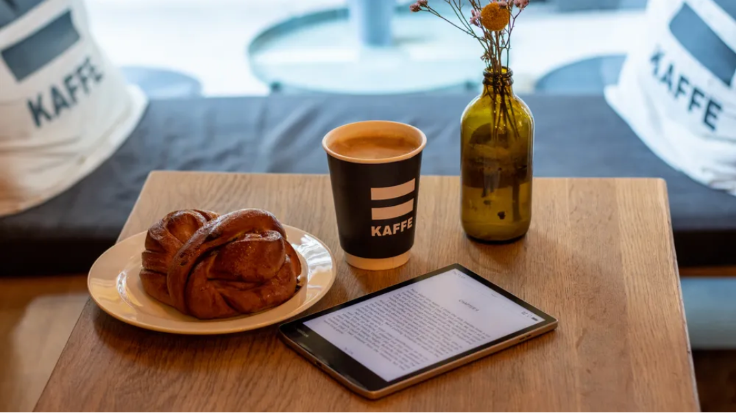 De Pocketbook - wat zegt de Consumentenbond?