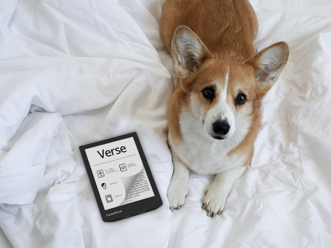 E-books lenen op jouw Pocketbook, hoe werkt dat?
