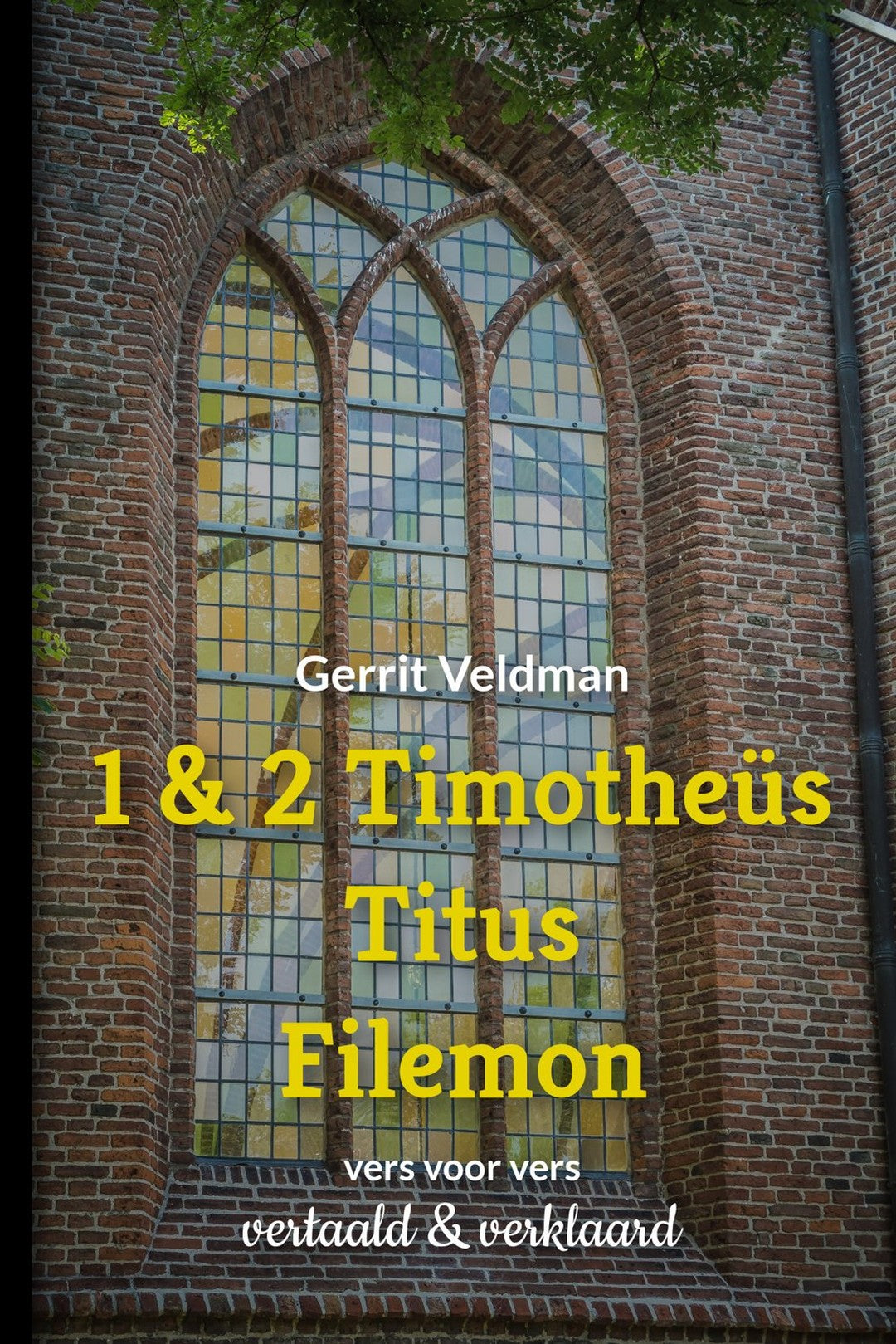1 &amp; 2 Timotheüs, Titus, Filemon - Gerrit Veldman