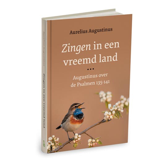 Zingen in een vreemd land