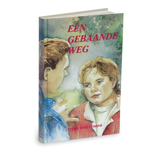 Een gebaande weg