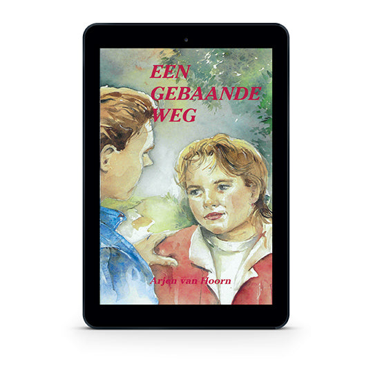 Een gebaande weg