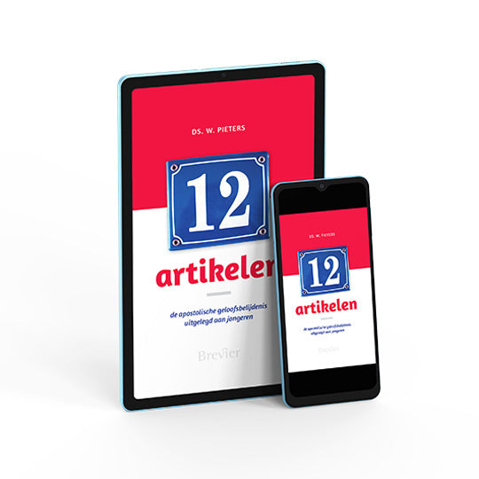 Twaalf artikelen