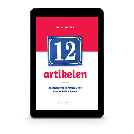 Twaalf artikelen