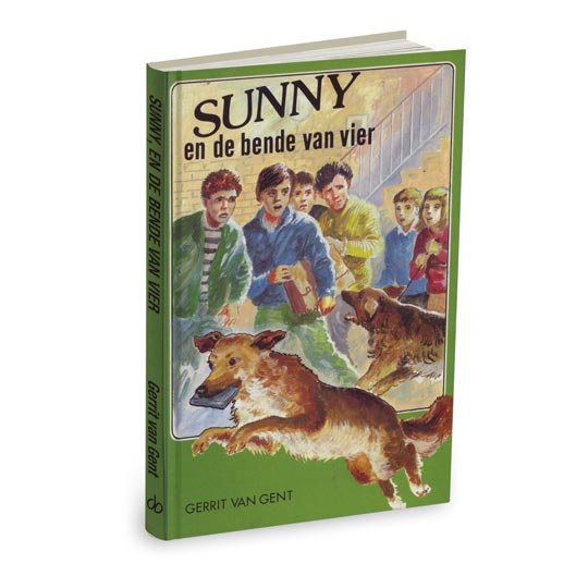 Sunny en de bende van vier