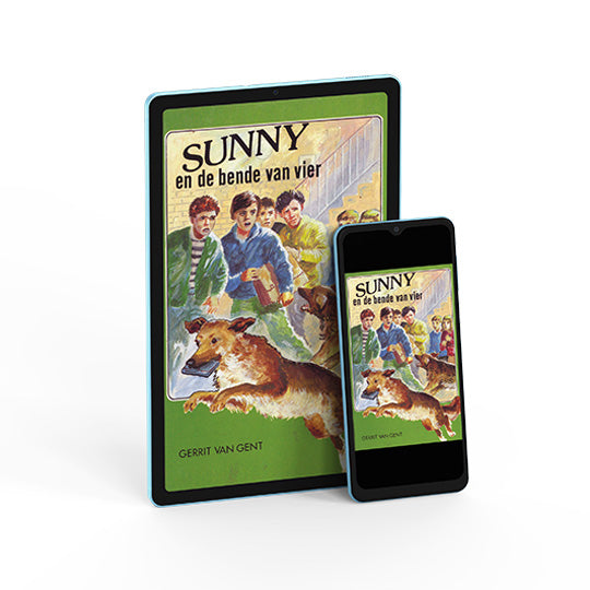 Sunny en de bende van vier