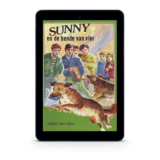 Sunny en de bende van vier