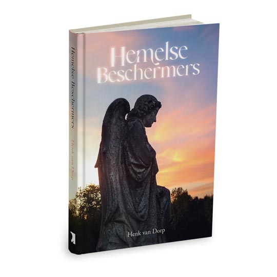 Hemelse beschermers