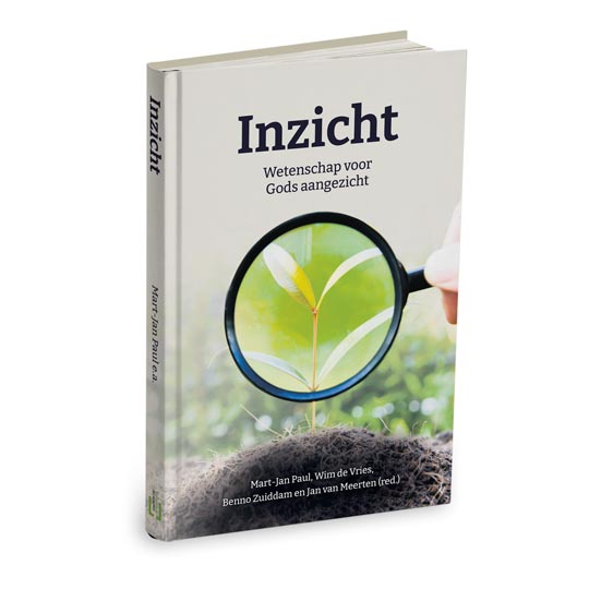 Inzicht