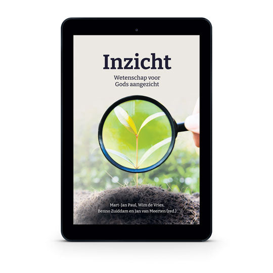 Inzicht