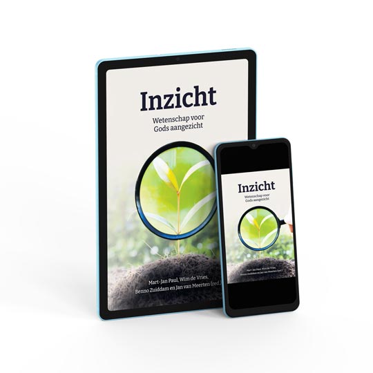 Inzicht