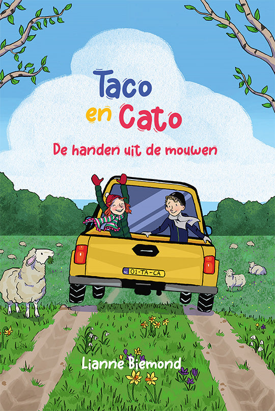 Taco en Cato