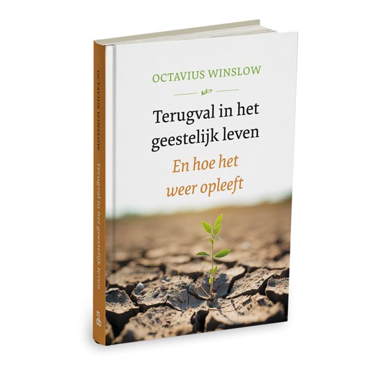 Terugval in het geestelijk leven
