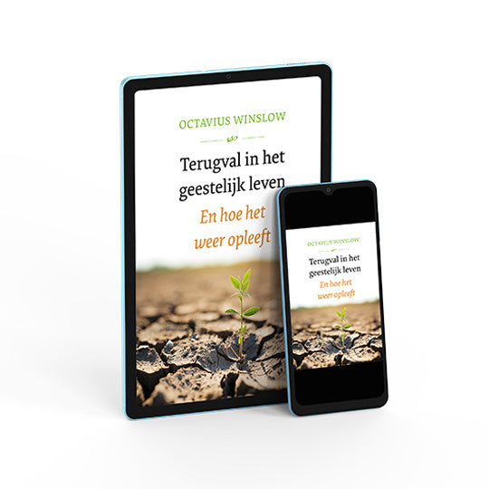 Terugval in het geestelijk leven