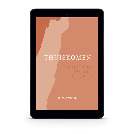 Thuiskomen