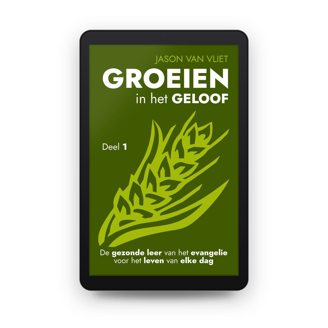 Groeien in het geloof, deel 1 - Jason Van Vliet