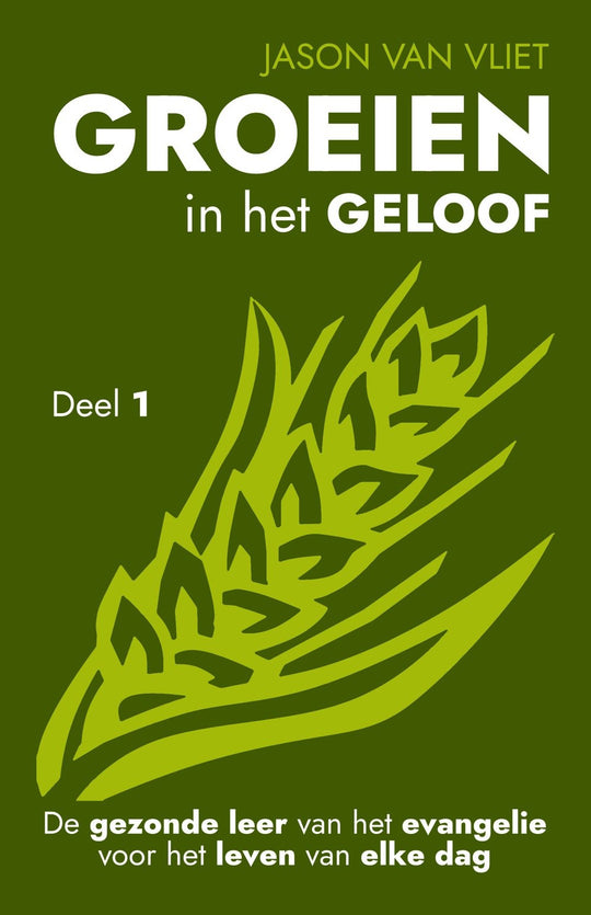 Groeien in het geloof, deel 1 - Jason Van Vliet