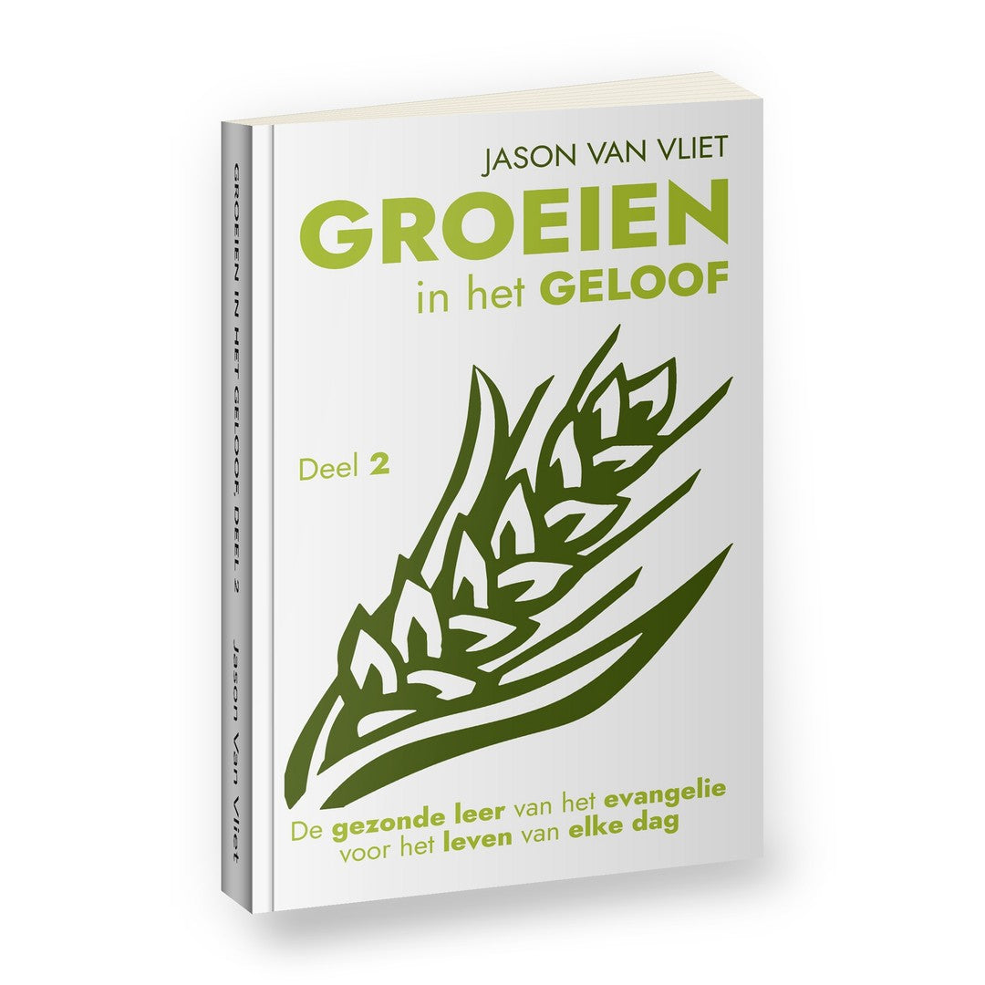 Groeien in het geloof, deel 2 - Jason Van Vliet
