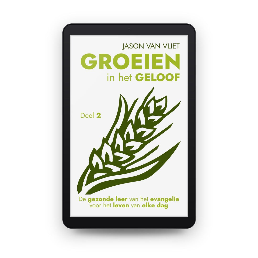 Groeien in het geloof, deel 2 - Jason Van Vliet