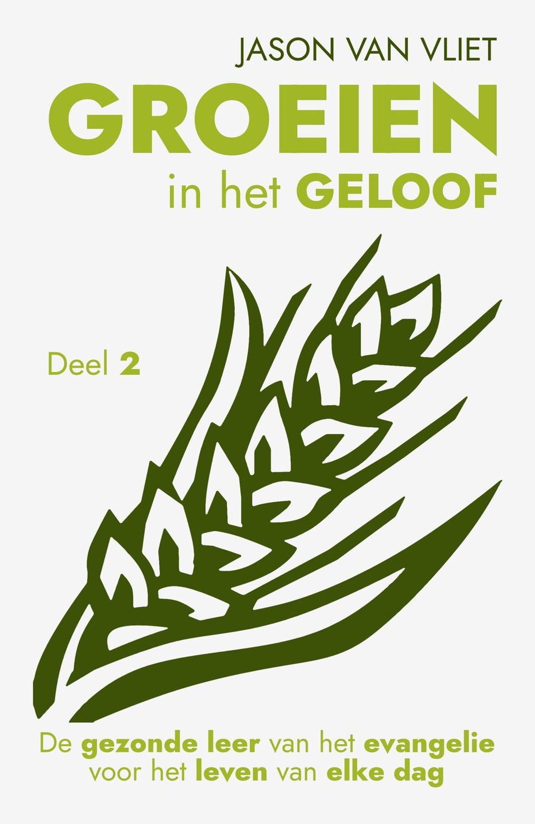 Groeien in het geloof, deel 2 - Jason Van Vliet