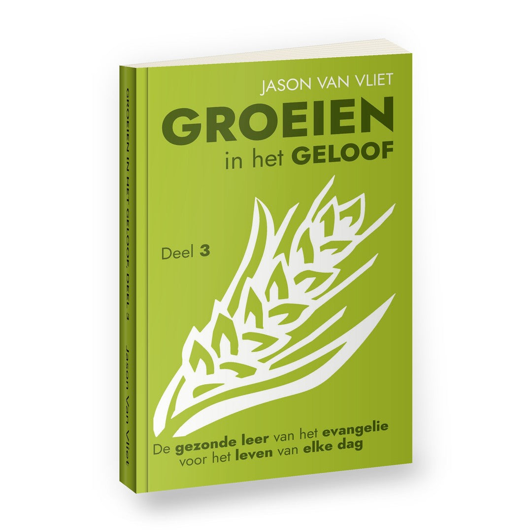 Groeien in het geloof, deel 3 - Jason Van Vliet