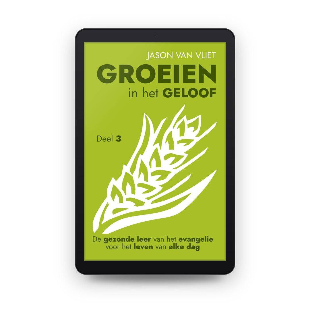 Groeien in het geloof, deel 3 - Jason Van Vliet