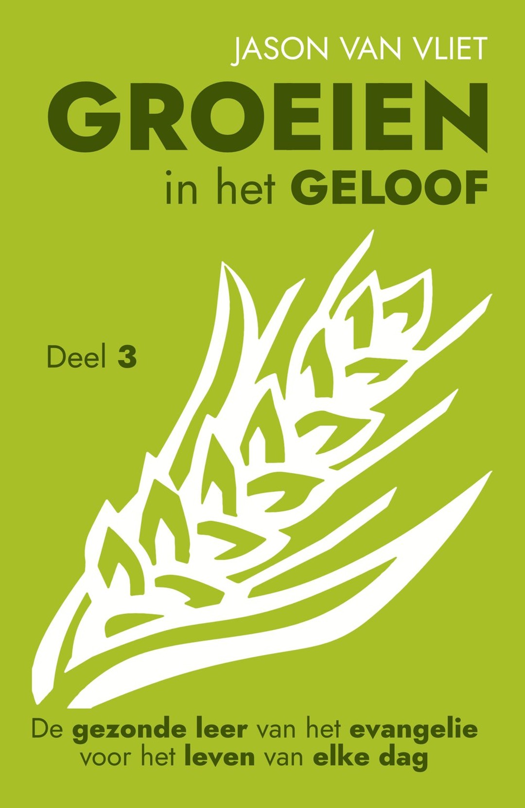Groeien in het geloof, deel 3 - Jason Van Vliet