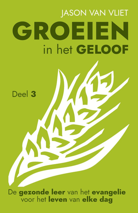 Groeien in het geloof, deel 3 - Jason Van Vliet
