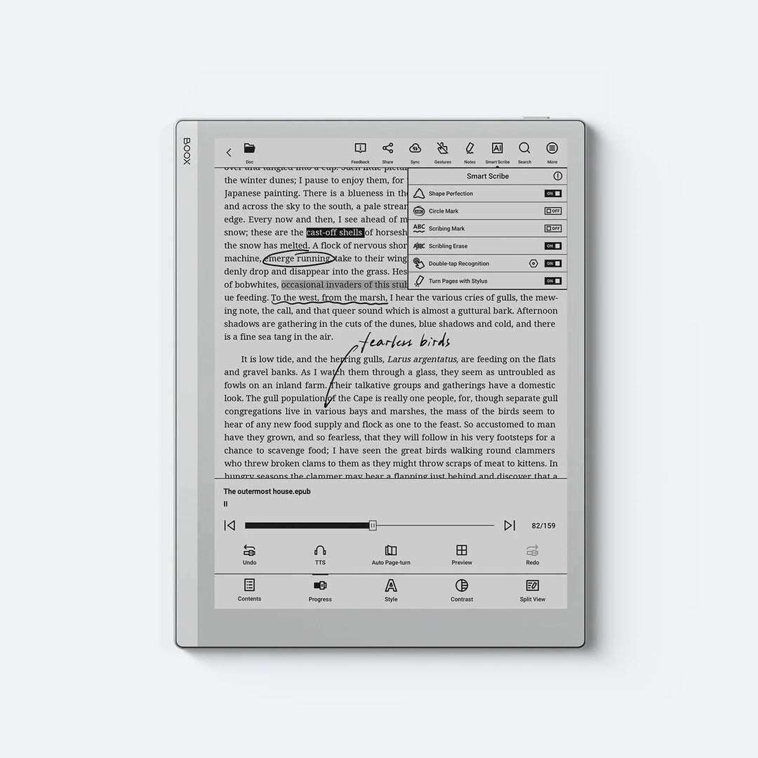BOOX Go 10.3