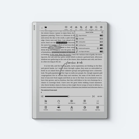 BOOX Go 10.3