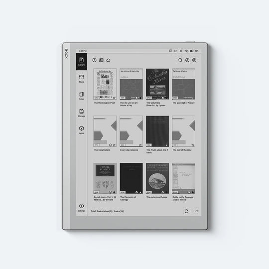 BOOX Go 10.3