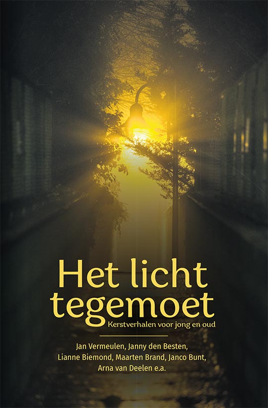 Het licht tegemoet