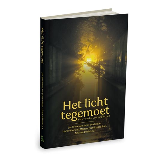 Het licht tegemoet